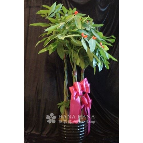 開源發財 - 冬季缺貨