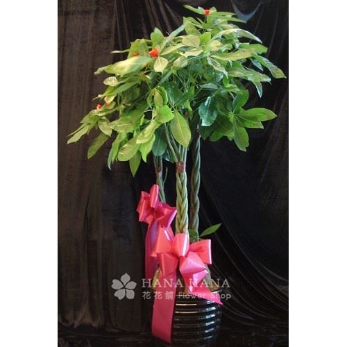 開源發財 - 冬季缺貨