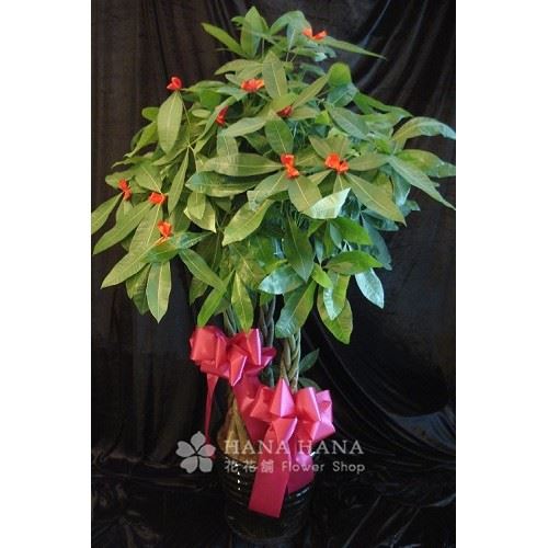 開源發財 - 冬季缺貨