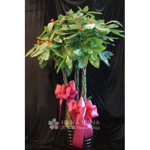 開源發財 - 冬季缺貨