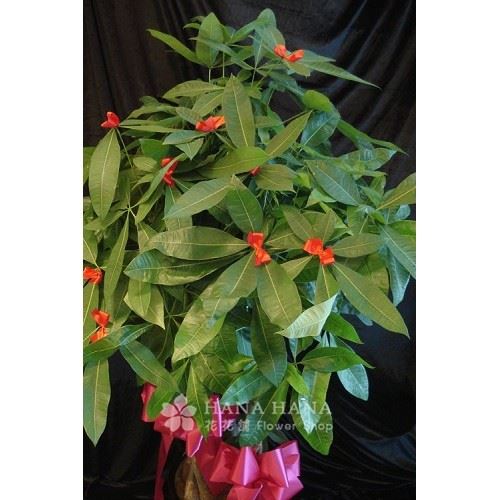 開源發財 - 冬季缺貨